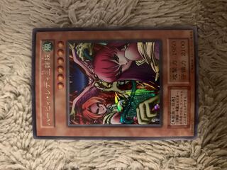 PSA8 鑑定品 No.18 ハーピー・レディ1 エラー品 カードダス 遊戯王