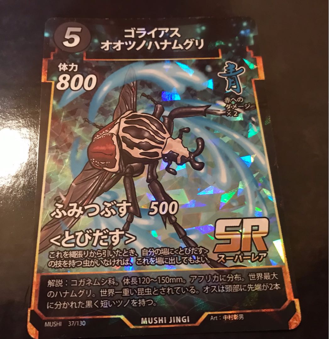 蟲神器 ゴライアスオオツノハナムグリ 2枚セット 2枚の通販 ゆう