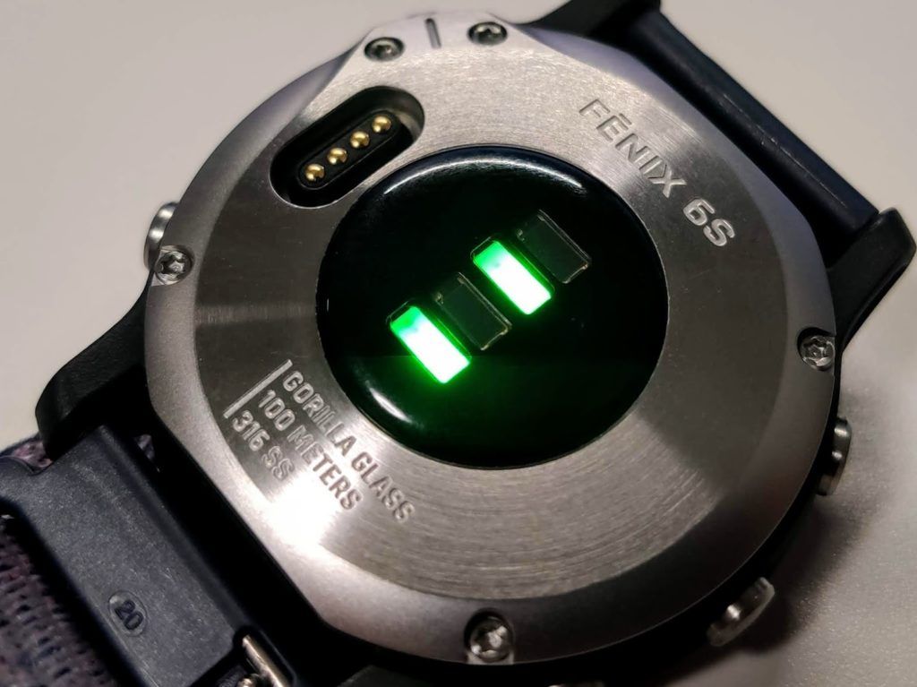 Garmin Fenix 6s Elevate光学式心拍計の精度について | すくみずログ