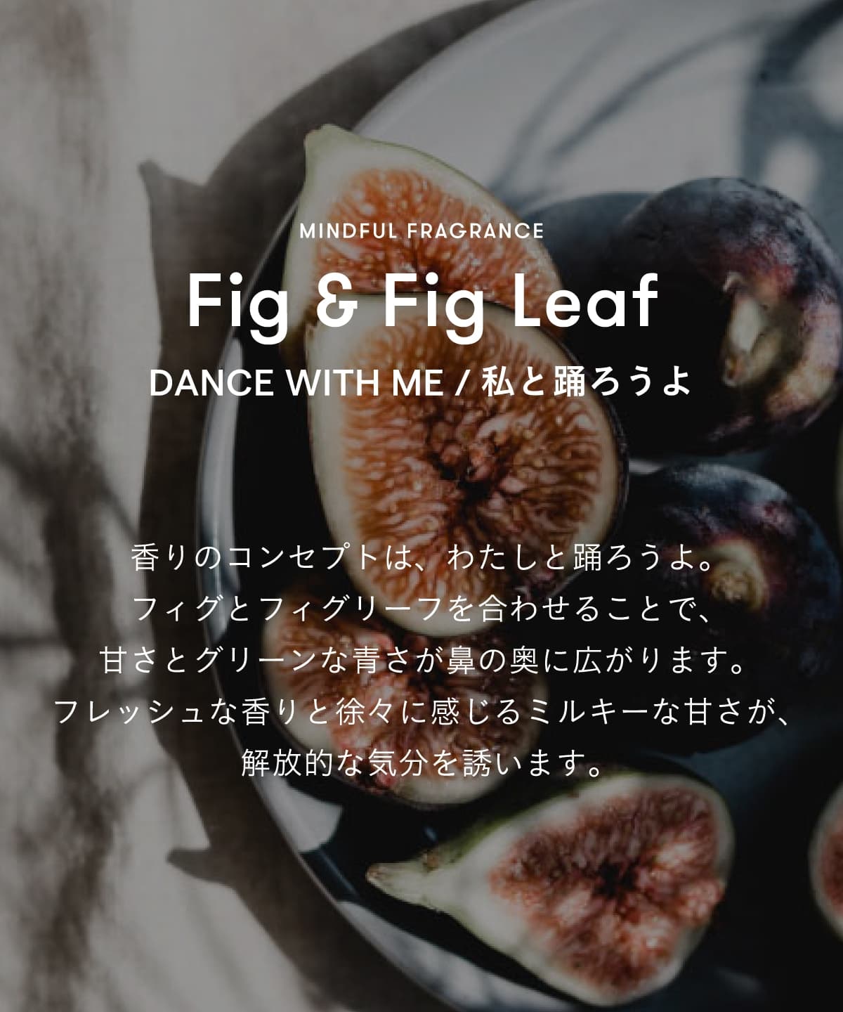 商品詳細ページ | SINN PURETE（シン ピュルテ）公式オンラインストア