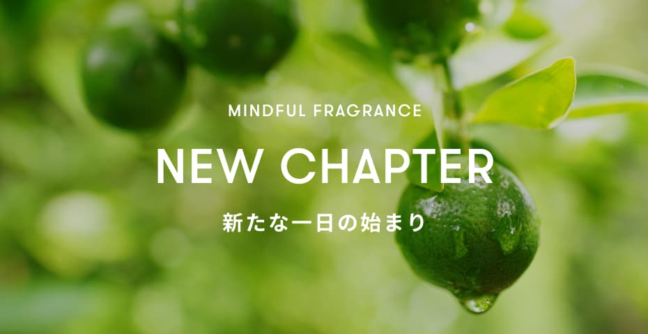 商品詳細ページ | SINN PURETE（シン ピュルテ）公式オンラインストア