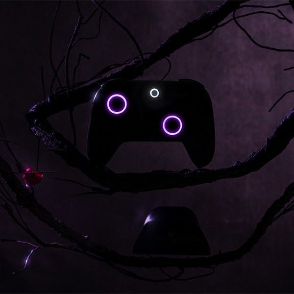 8BitDo Ultimate 2 Wireless Controller (Honkai: Star Rail - Evernight)