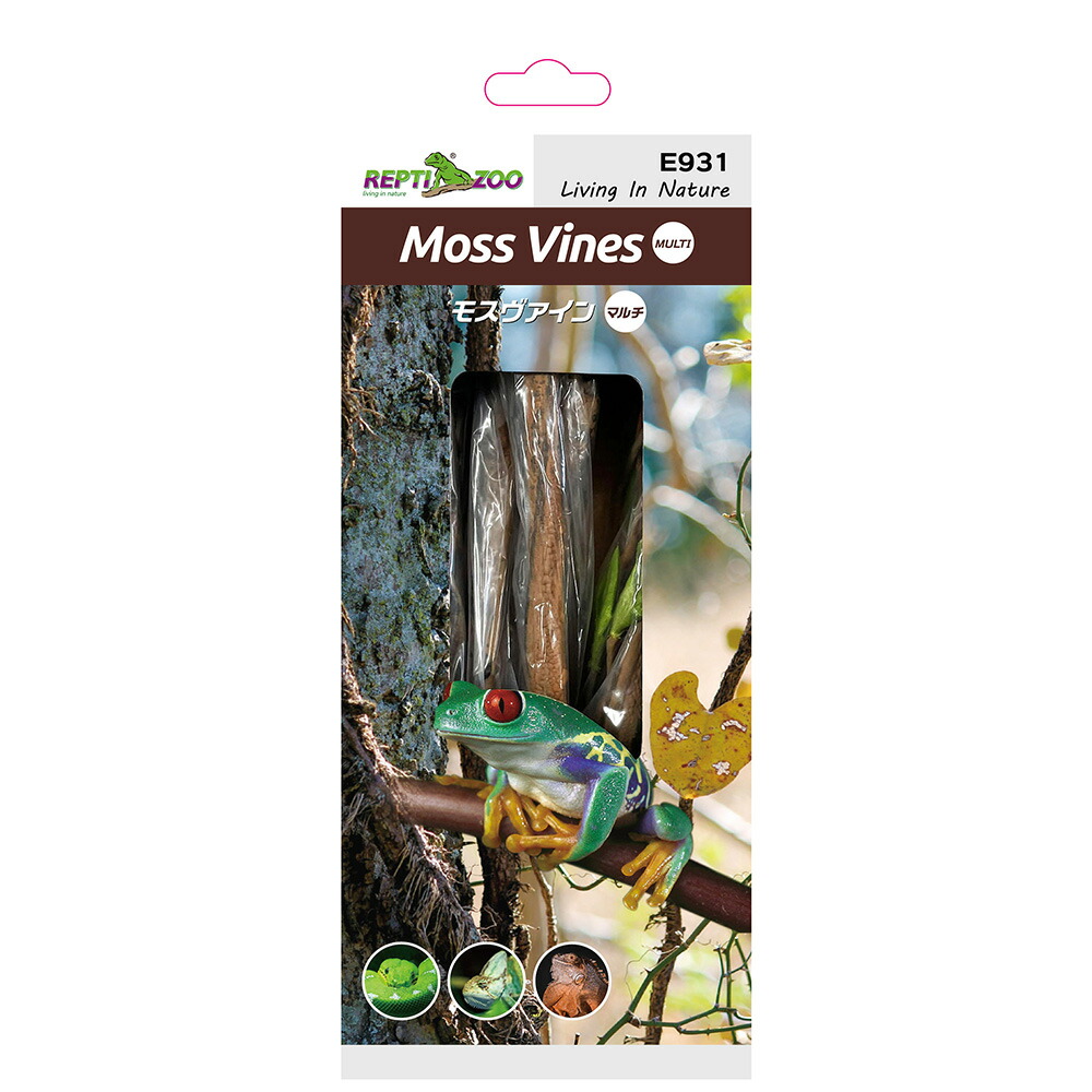 楽天市場】爬虫類ケージ GEX エキゾテラ スクリーンテラリウム