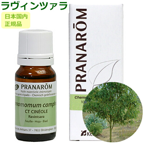 楽天市場】プラナロム ティートゥリー 10ml プラナロム アロマオイル