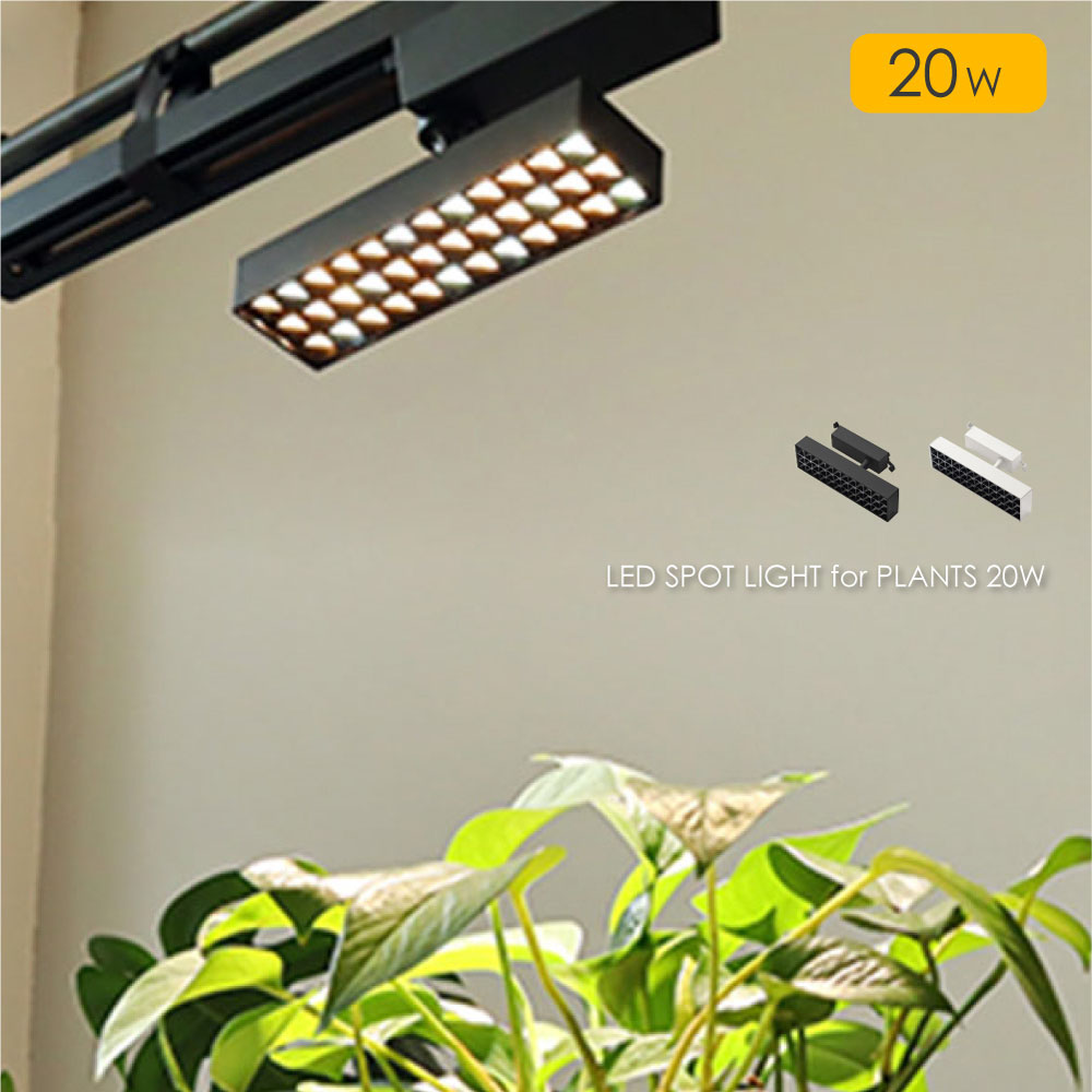 楽天市場】BRID LED SPOT LIGHT for PLANTS 30W 植物育成ライト