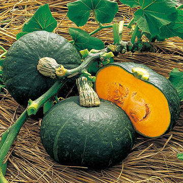 733-ANK024.jpg?202602031613