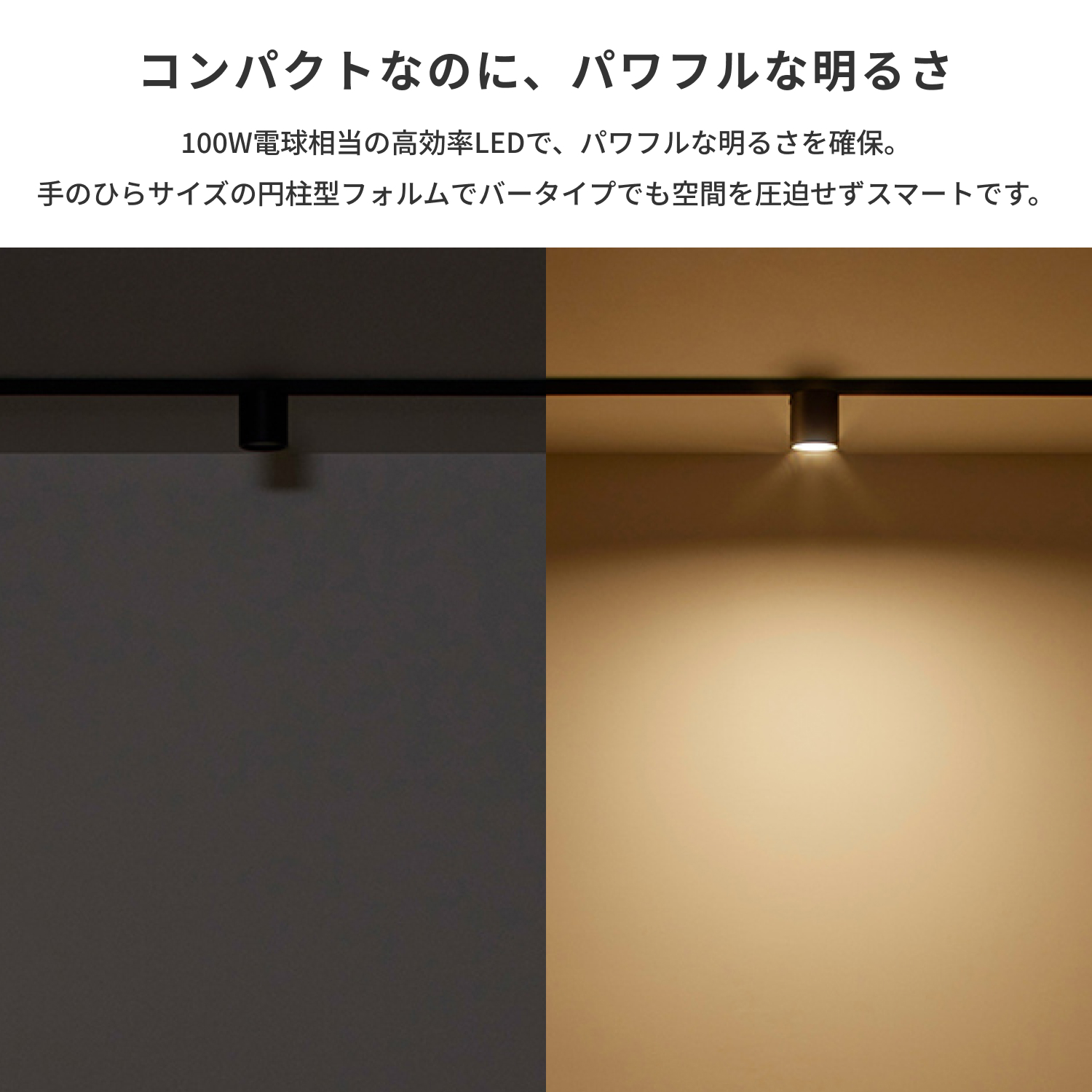 ARTWORKSTUDIO（アートワークスタジオ） シーリングライト スポット