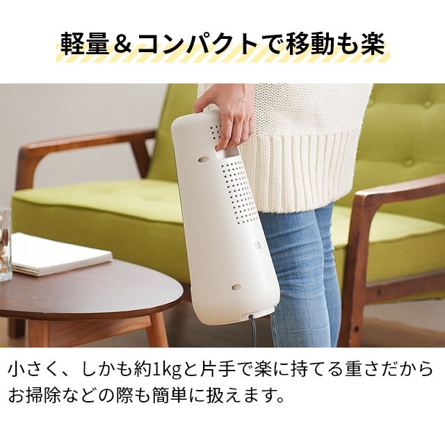 0（プラスマイナスゼロ） ヒーター 足元 カーボンヒーター XHS-Y210