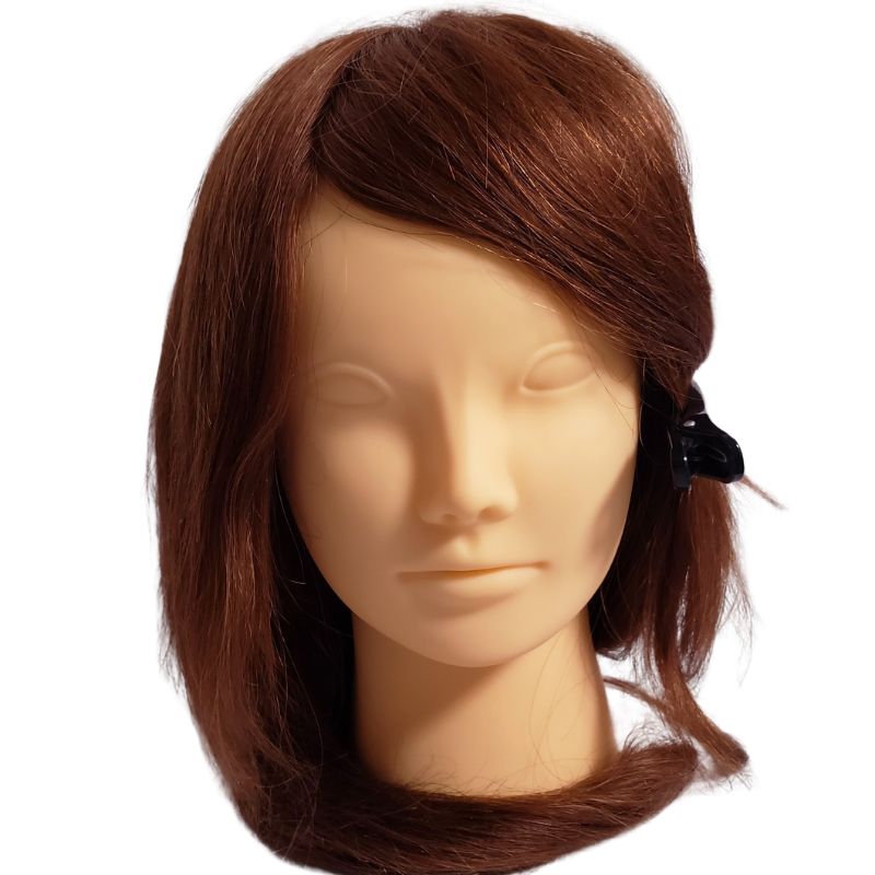 美容師 人毛100％ ヘアアレンジ セットアップウィッグ 茶髪 キタムラ