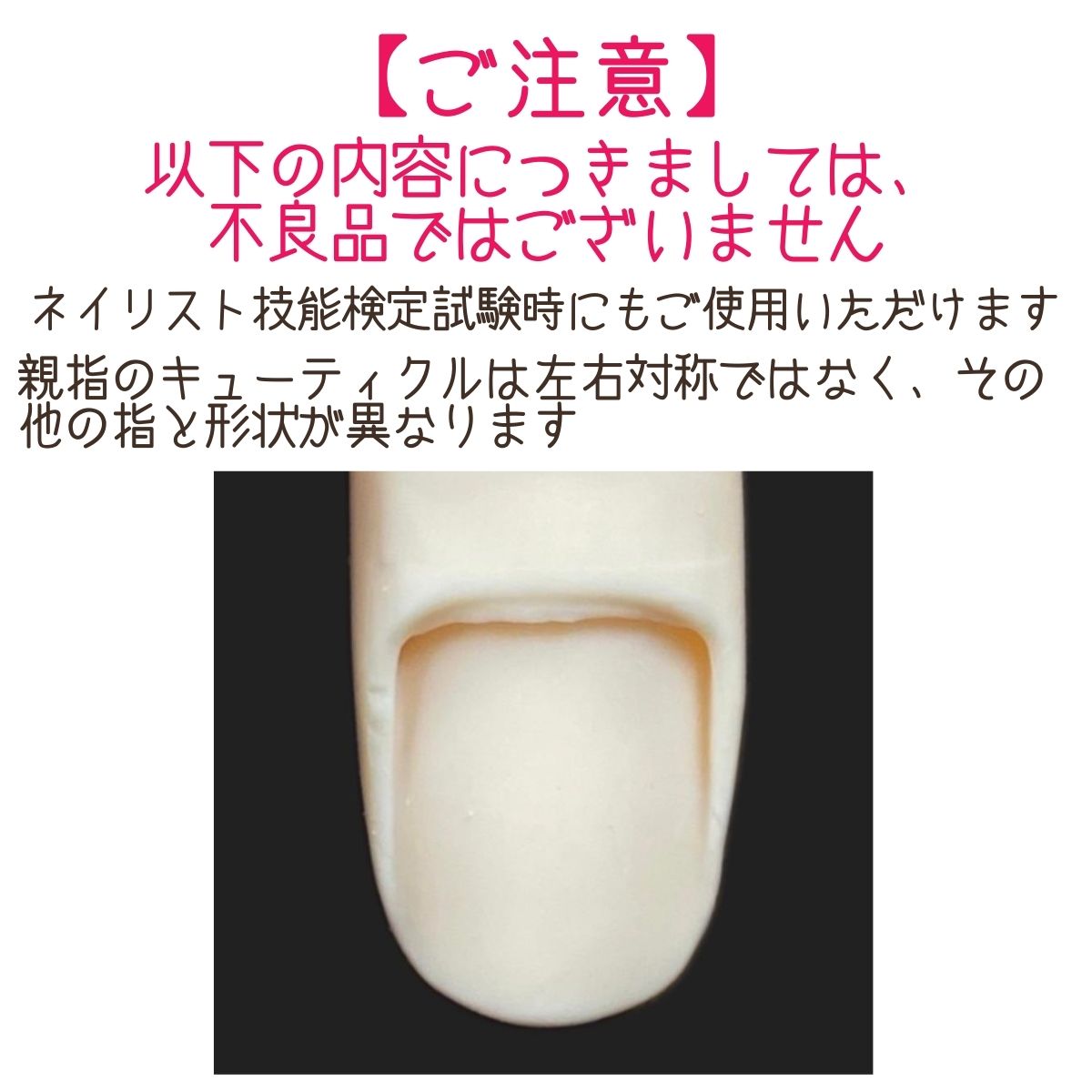 滝川（TAKIGAWA） JNEC認定ハンド STモデルハンド 右手 ネイルチップ