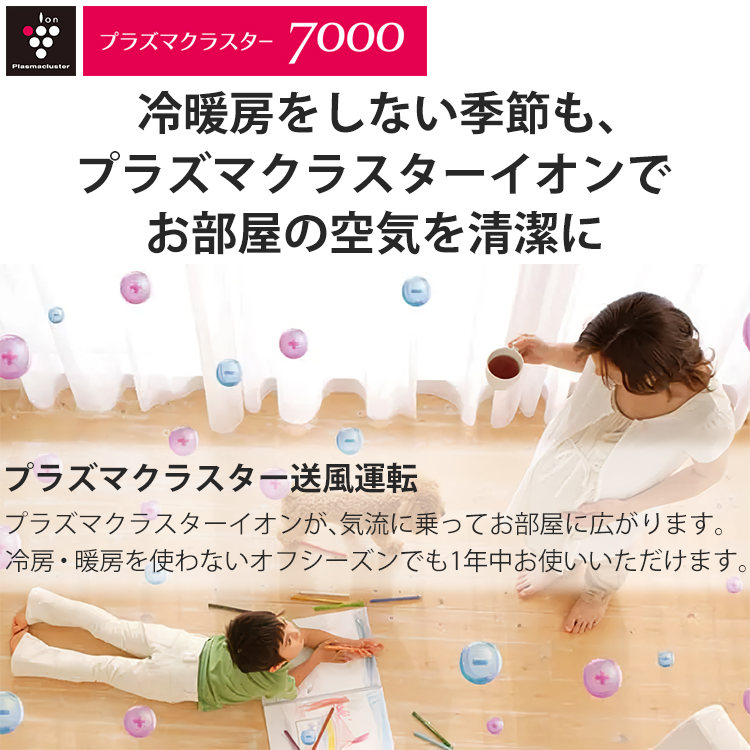 プラズマクラスター エアコン おもに10畳 シャープ DGシリーズ 2024年