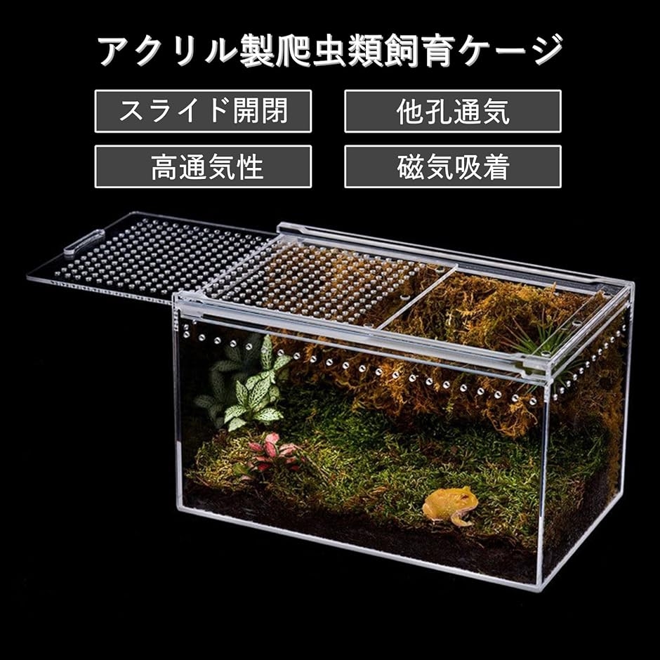 爬虫類 ケージ シェルター アクリル製 トカゲ 蛇 サソリ 飼育 ボックス