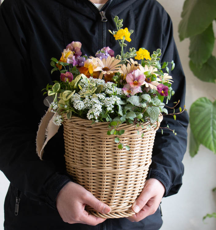花うるるアレンジ寄せ植え「ジェミニバスケット シリンダ」おまかせ