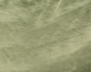 ライフジョイ（LIFEJOY） 【公式】ライフジョイ 日本製 電気毛布 掛け