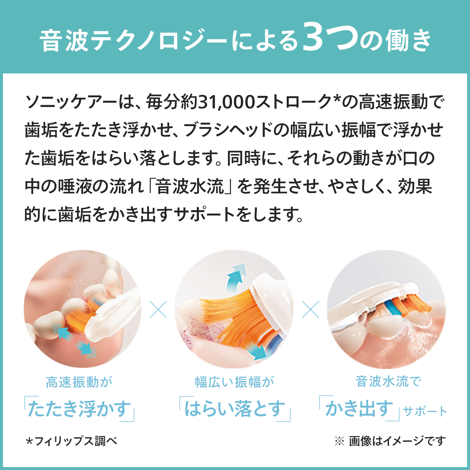 Philips（フィリップス） 電動歯ブラシ 公式ストア限定替えブラシ