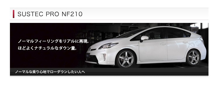 TANABE（タナベ） サスペンション NF210 スズキ アルト ラパン HE22S