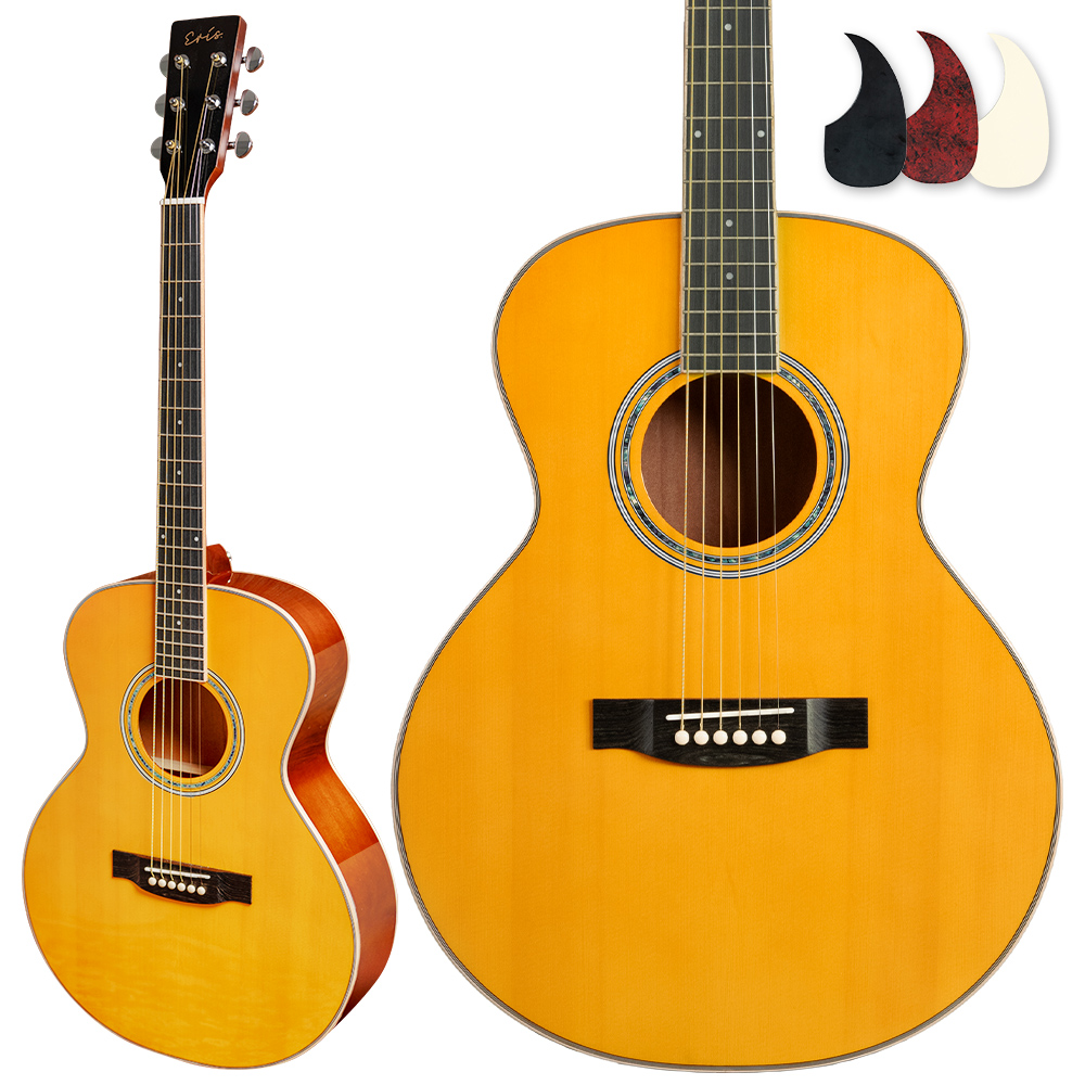 Eris. エリス Aproa アコースティックギター ピックガード3種付属 牛骨