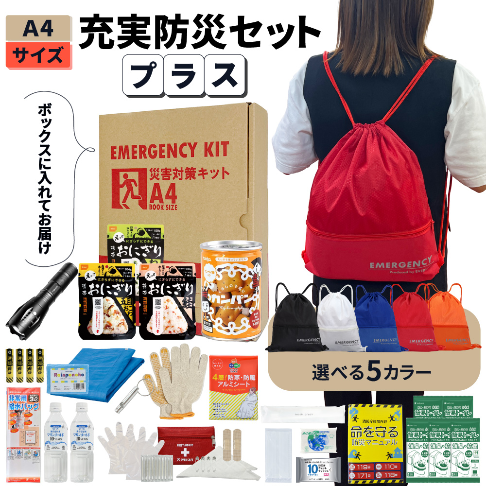 EVERSAFE 防災セット 防災グッズ 非常用持ち出し袋 充実A4 プラス 1人