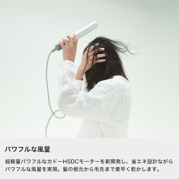 cado（カドー） 特典付 リニューアル baton バトン BD-S1N スティック