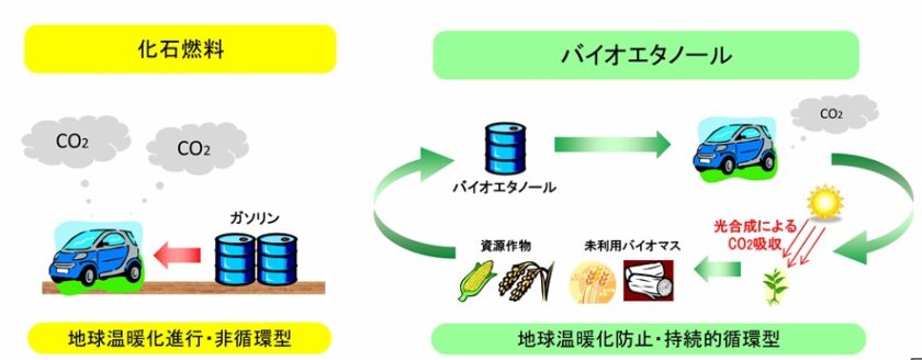 第2世代も！ 新たな研究開発が進むバイオエタノールの最新動向を解説