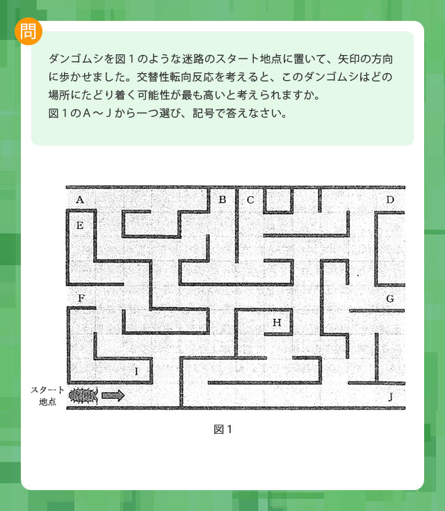 2024年度 啓明学院中学校入試問題より｜中学受験応援サイト 『シガクラボ』