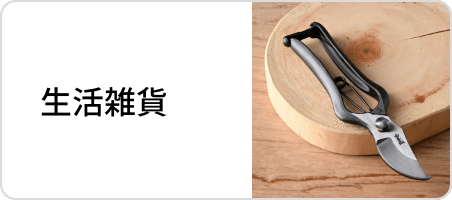 十二国記」 山田章博 複製原画『魔性の子』 – 新潮ショップ