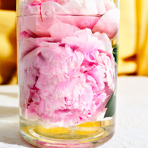 ゼロピオニー ブリス オードパルファン | SHIROオフィシャルサイト