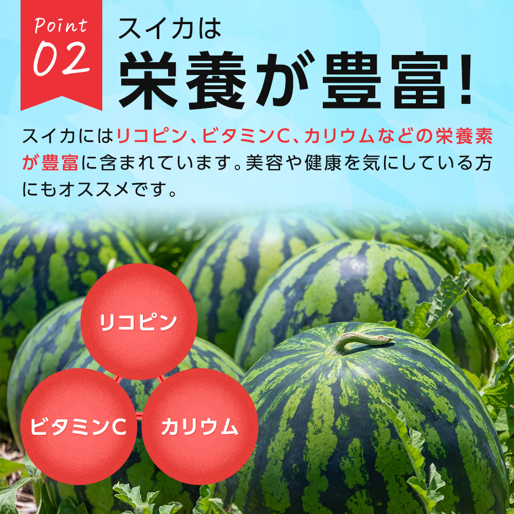 スイカジュース ストレート果汁100% [1000ml×1本]SUIKA JUICE すいか