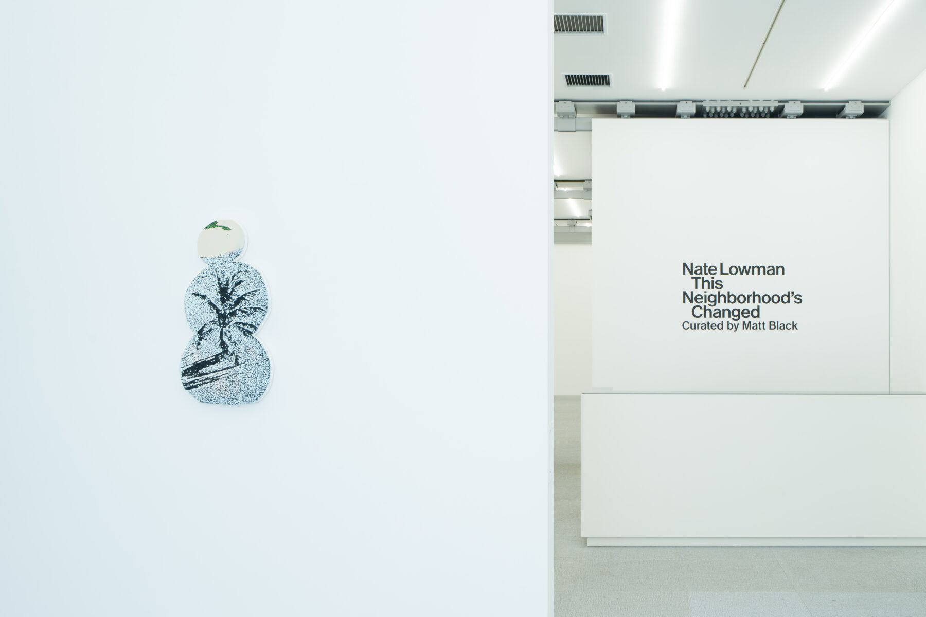 Supremeとのコラボレーションでも話題！ネイト・ロウマンの日本初個展