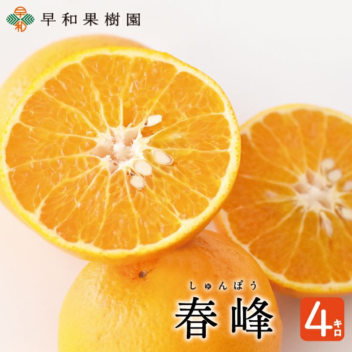 000000000270-01-xs.jpg?t=