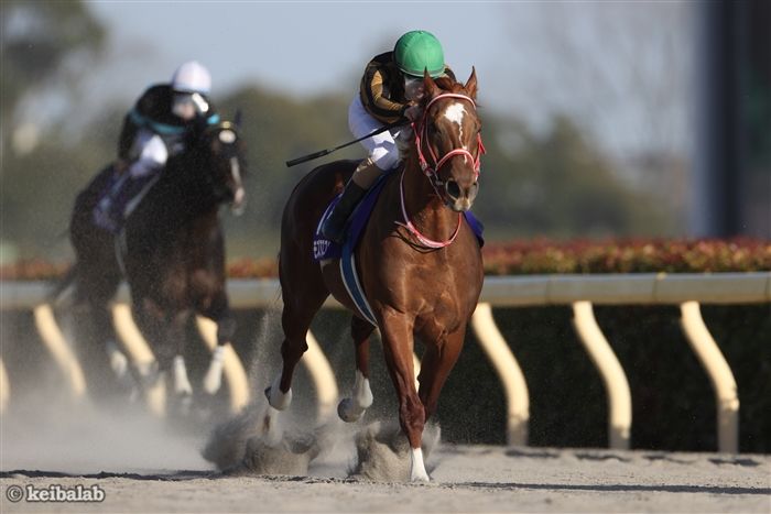 ルヴァンスレーヴ - Le Vent Se Leve - 競走馬データベース | 競馬ラボ