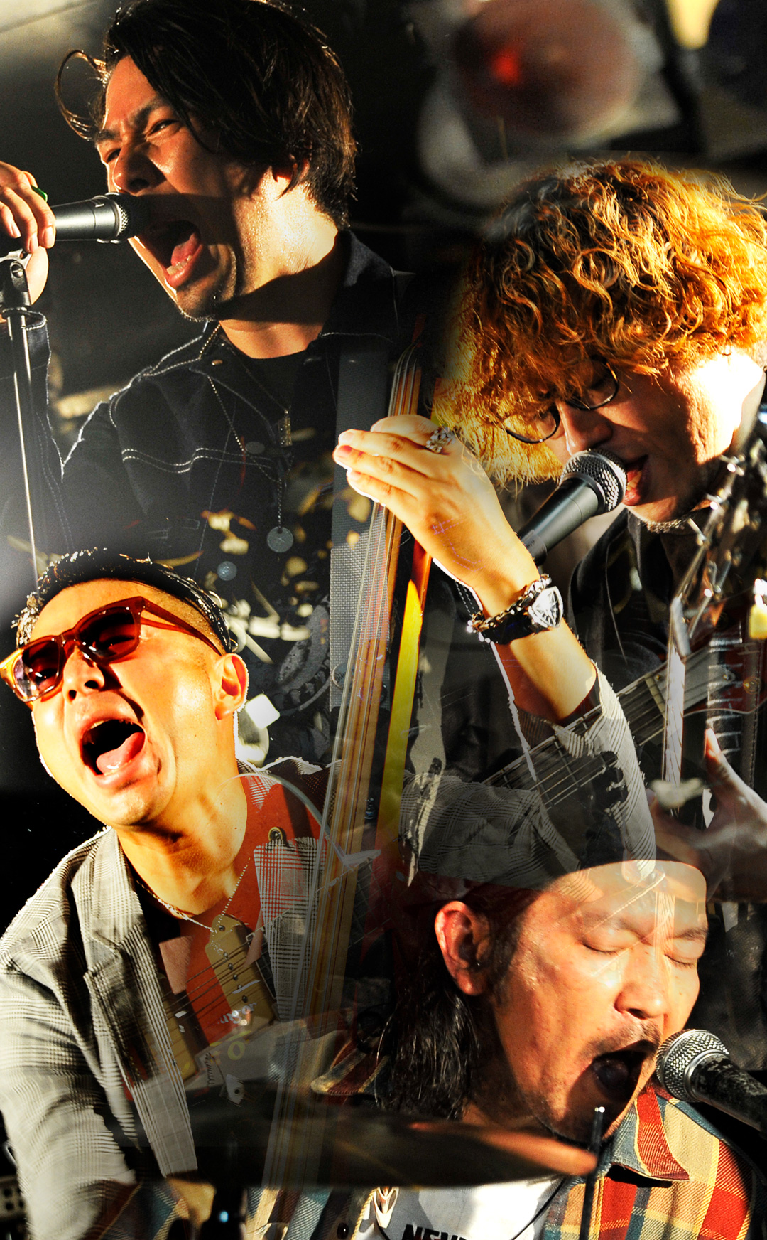 NEW RELEASE!! 2024.09.18 発売開始! – SPIDER CABINETS