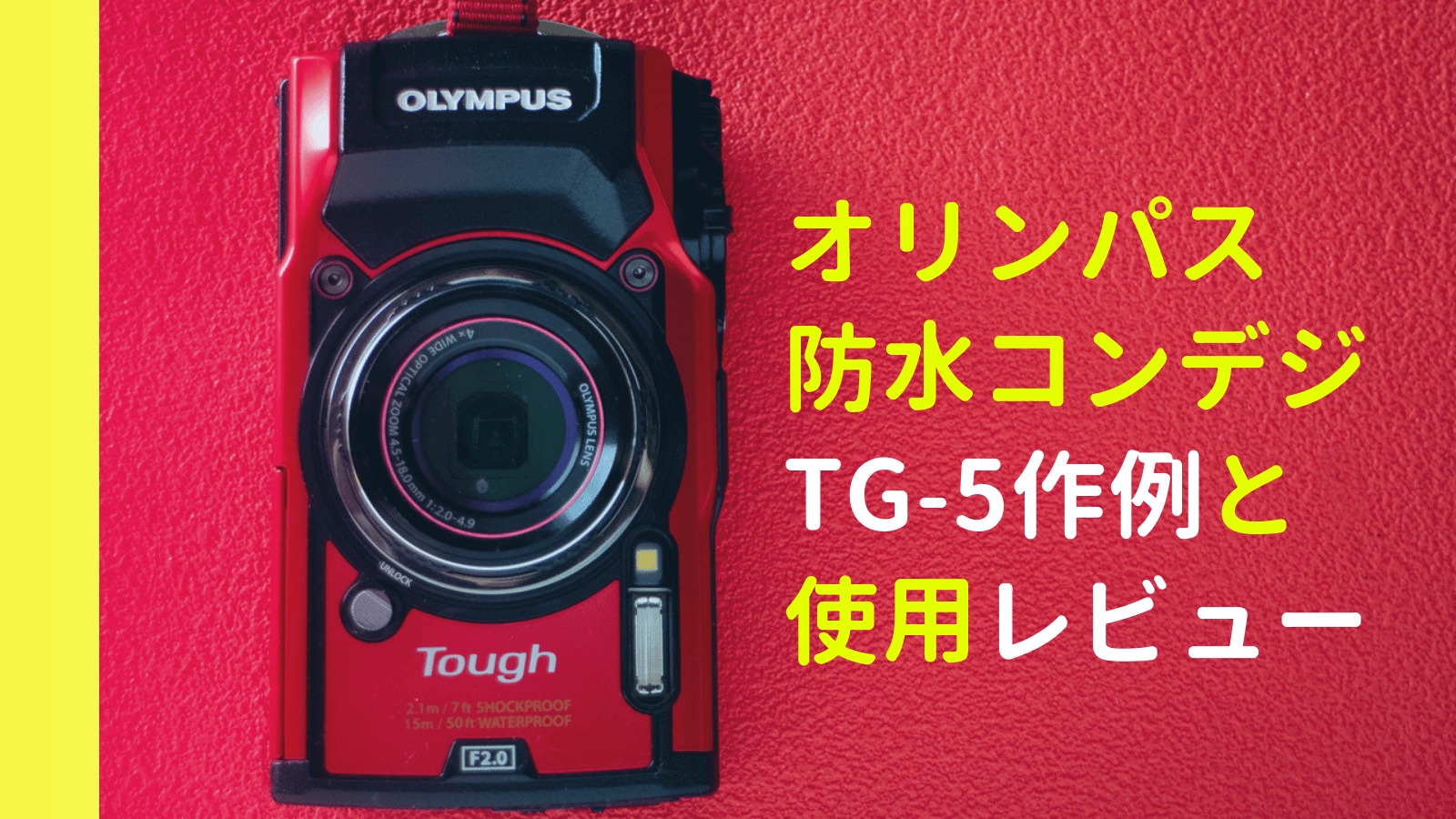 オリンパス【TG-5】防水コンデジ 作例と使用レビュー | 水中写真撮影に