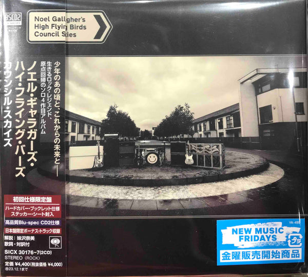 NOELGALLAGHERCOUNCIL1_grande.