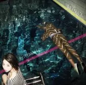 CITY DIVE/一十三十一｜日本のロック｜ディスクユニオン・オンライン