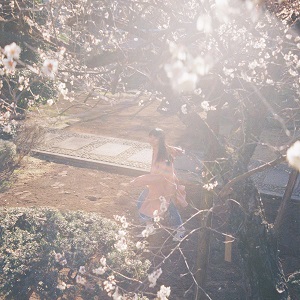 カネコアヤノ新品CD再入荷💿ラインナップをご紹介🌷 : ディスク