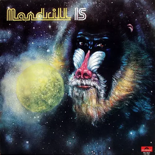 MANDRILL / マンドリル商品一覧｜LATIN/BRAZIL/WORLD MUSIC｜ディスク