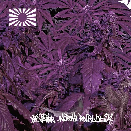 リアル過ぎる内容から多方面に衝撃を与えた舐達麻の1ST ALBUMが