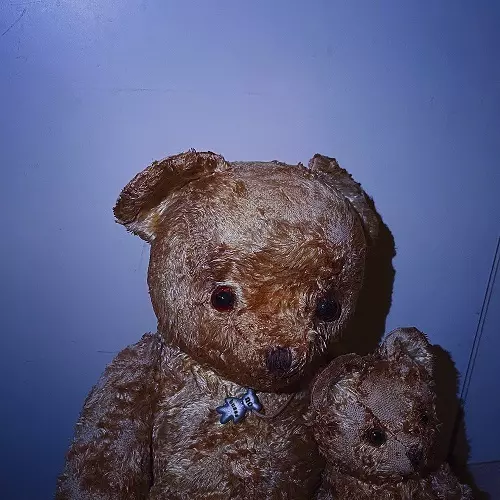 No Buses商品一覧｜CLUB / DANCE｜ディスクユニオン・オンライン