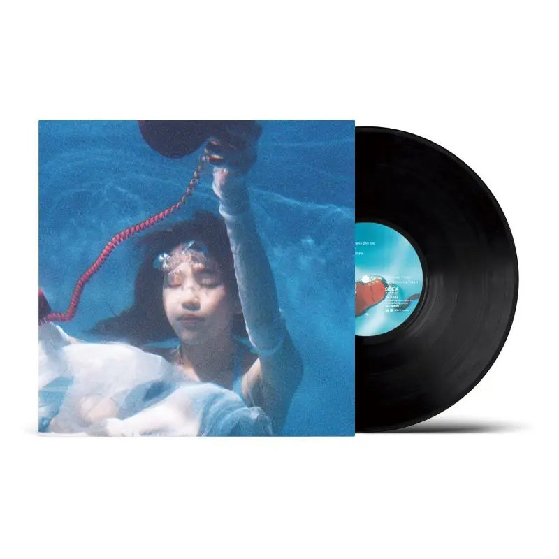 A Call From My Dream(LP)/MEANINGFUL STONE/ミーニングフル・ストーン