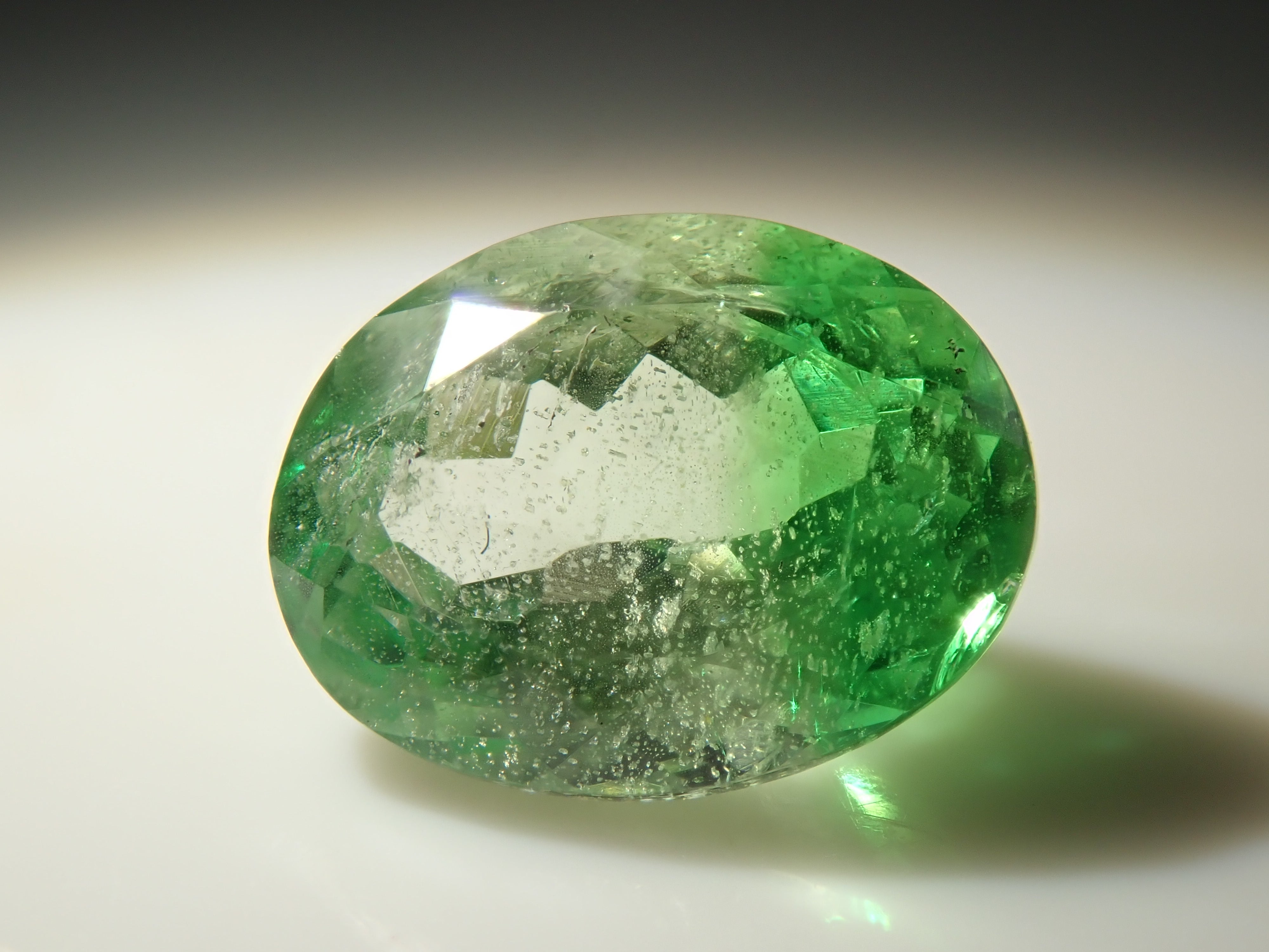 タンザニア産バイカラーグロッシュラーガーネット 1.359ctルース