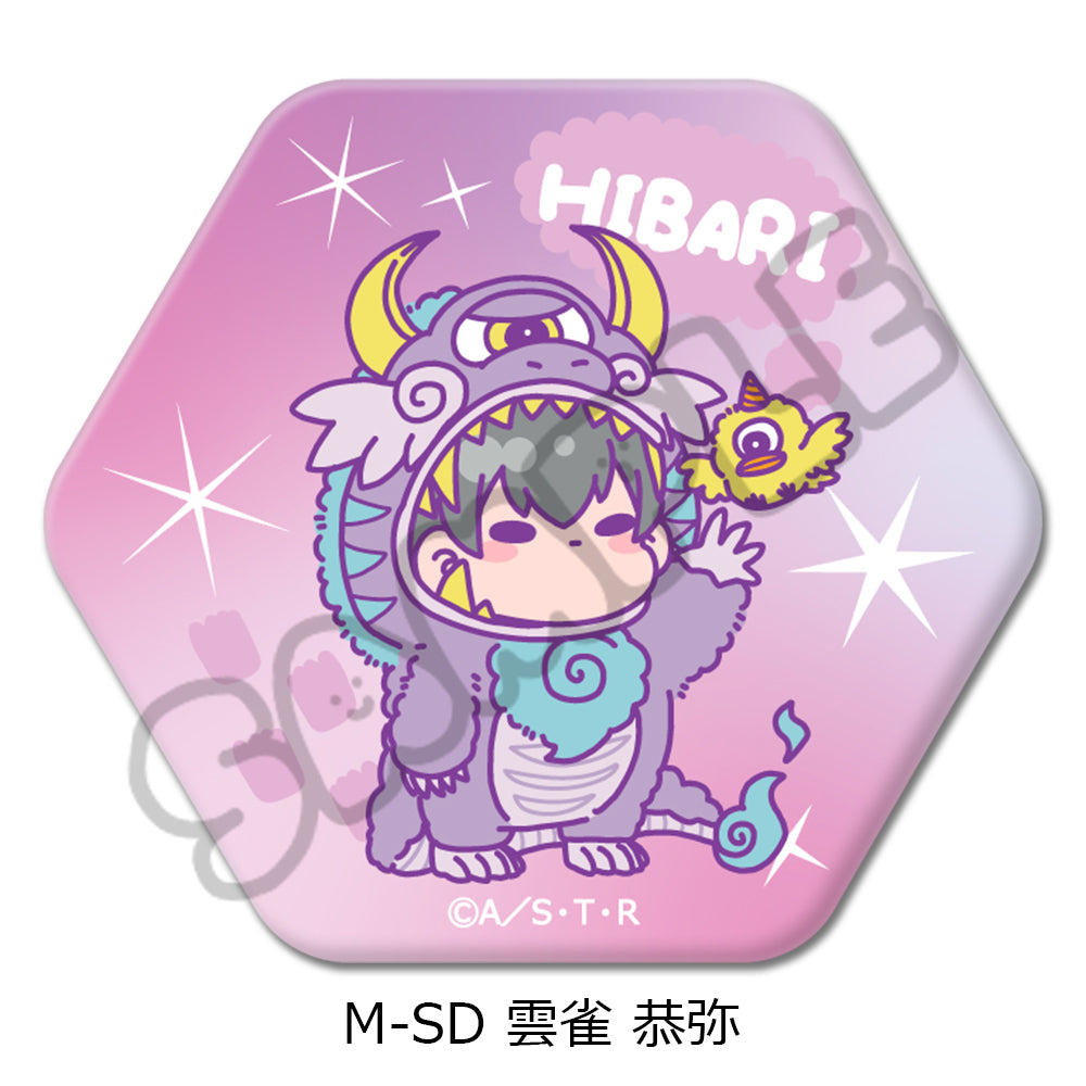 TVアニメ『家庭教師ヒットマンREBORN!』六角形缶バッジ – MENEGI