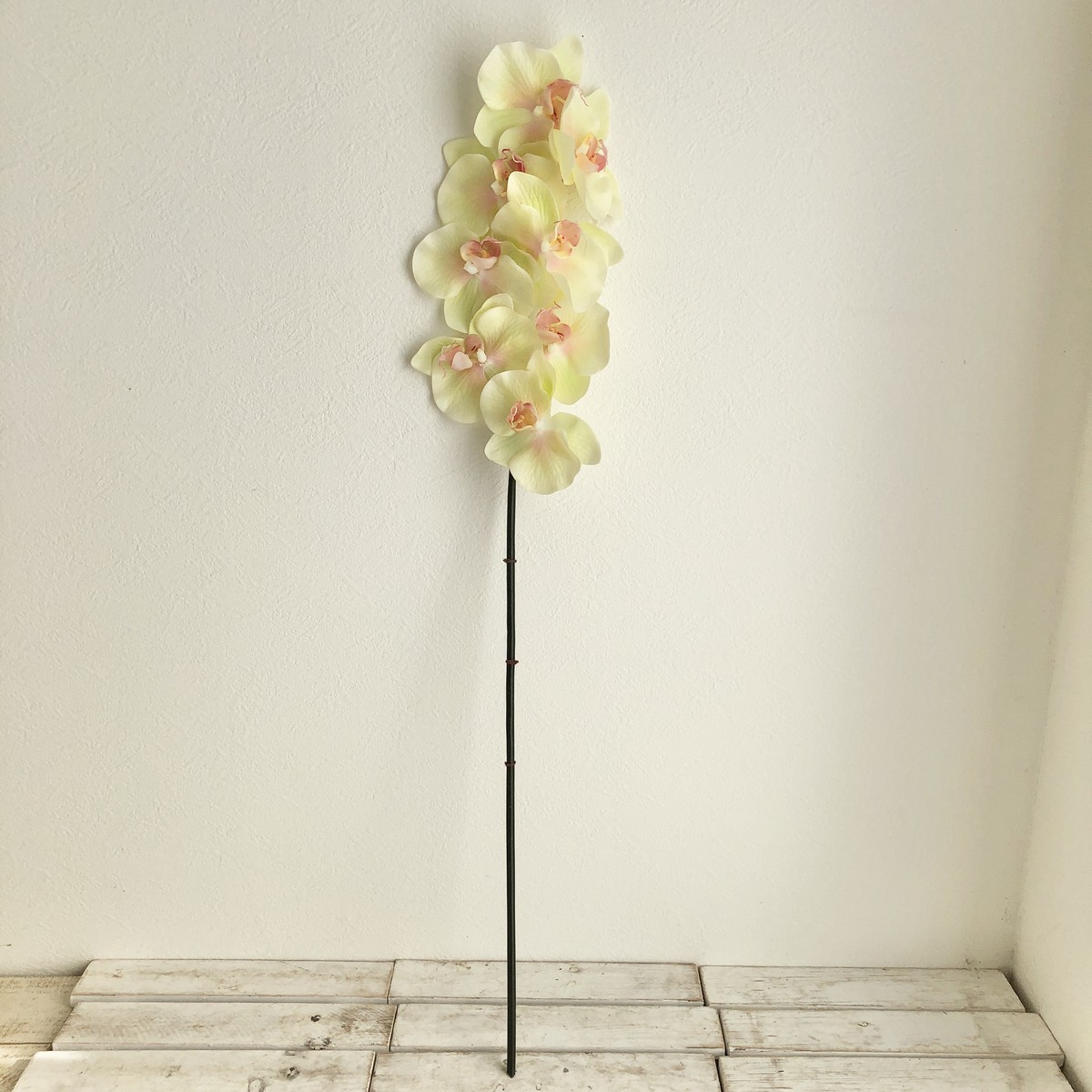 造花】アスカ/コチョウラン×8 ソフトイエローピンク/A-34606-20K - 花