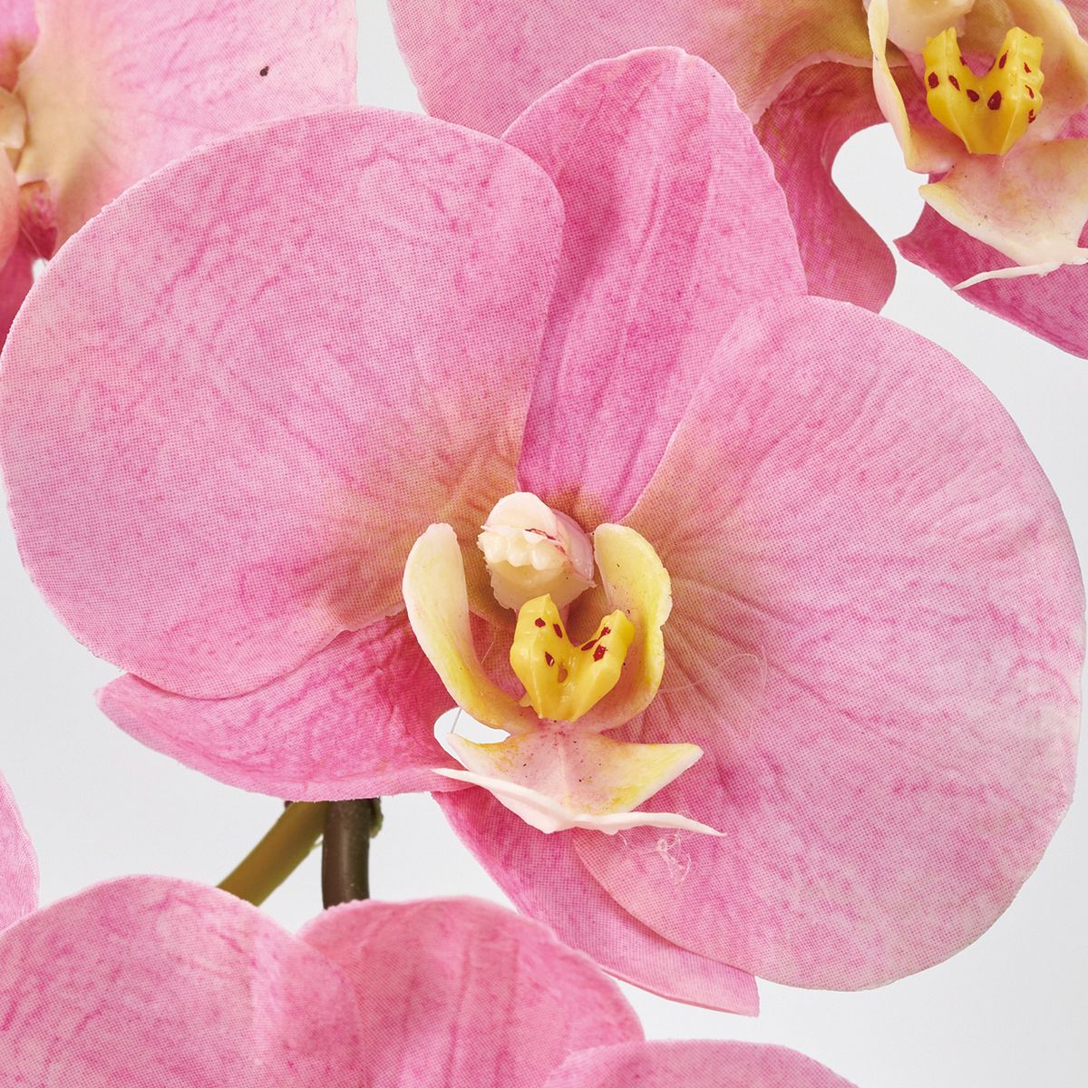 造花】MAGIQ東京堂/ミカエラファレノプシス ピンク #2 PINK/FW093450