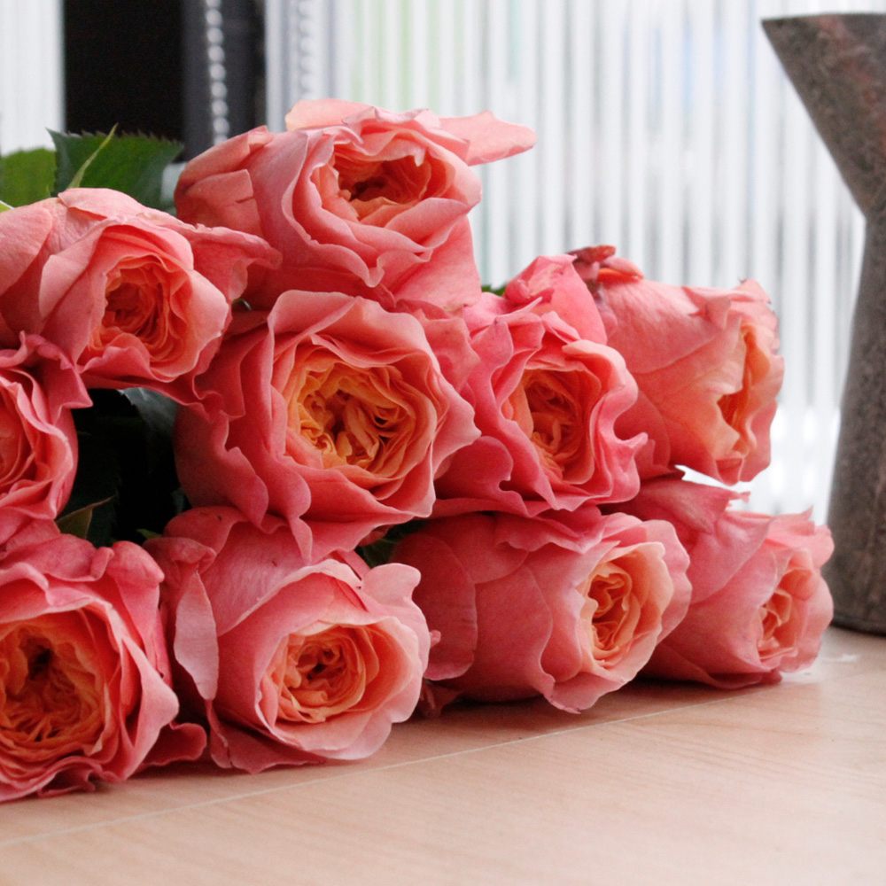 直前】【生花】バラ ヴィクトリアンシークレット(複色系ピンクオレンジ