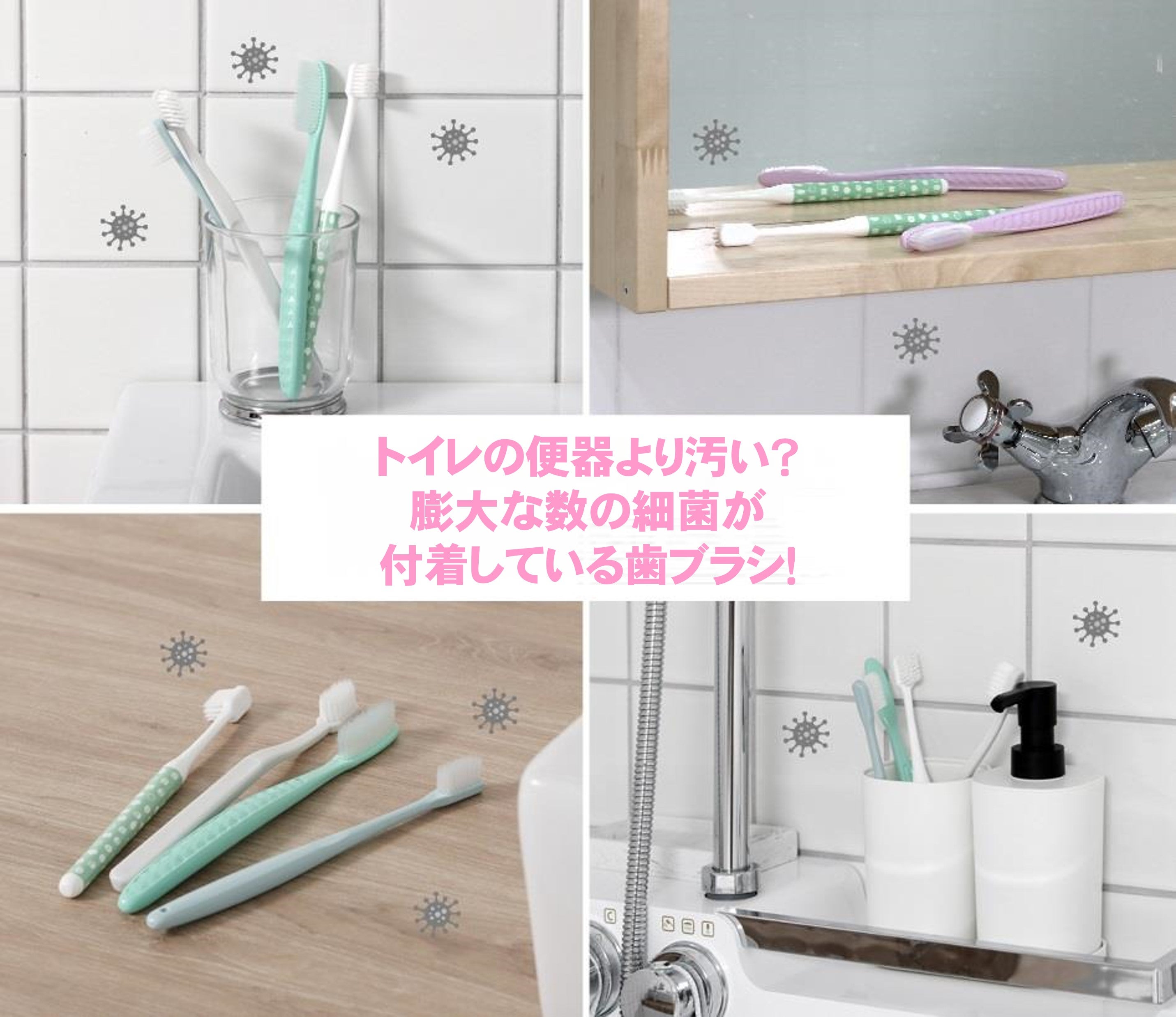 簡単歯ブラシ除菌！UVC-LED除菌 ヘッド型歯ブラシホルダー＆歯ブラシ