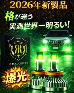 格が違う ロイヤルガードオメガ LEDフォグライムグリーン H8 H11 H16