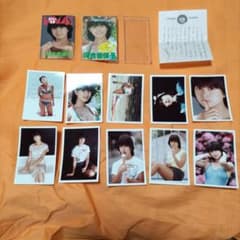 希少 河合奈保子 BOMB！アイドル・フォトパックシリーズ ビキニ 水着