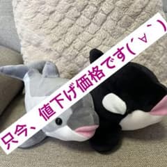 神戸須磨シーワールド オルカくじ イルカくじ 4等 シャチ ぬいぐるみ