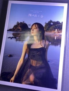 m34939040603_1.jpg?1710387952